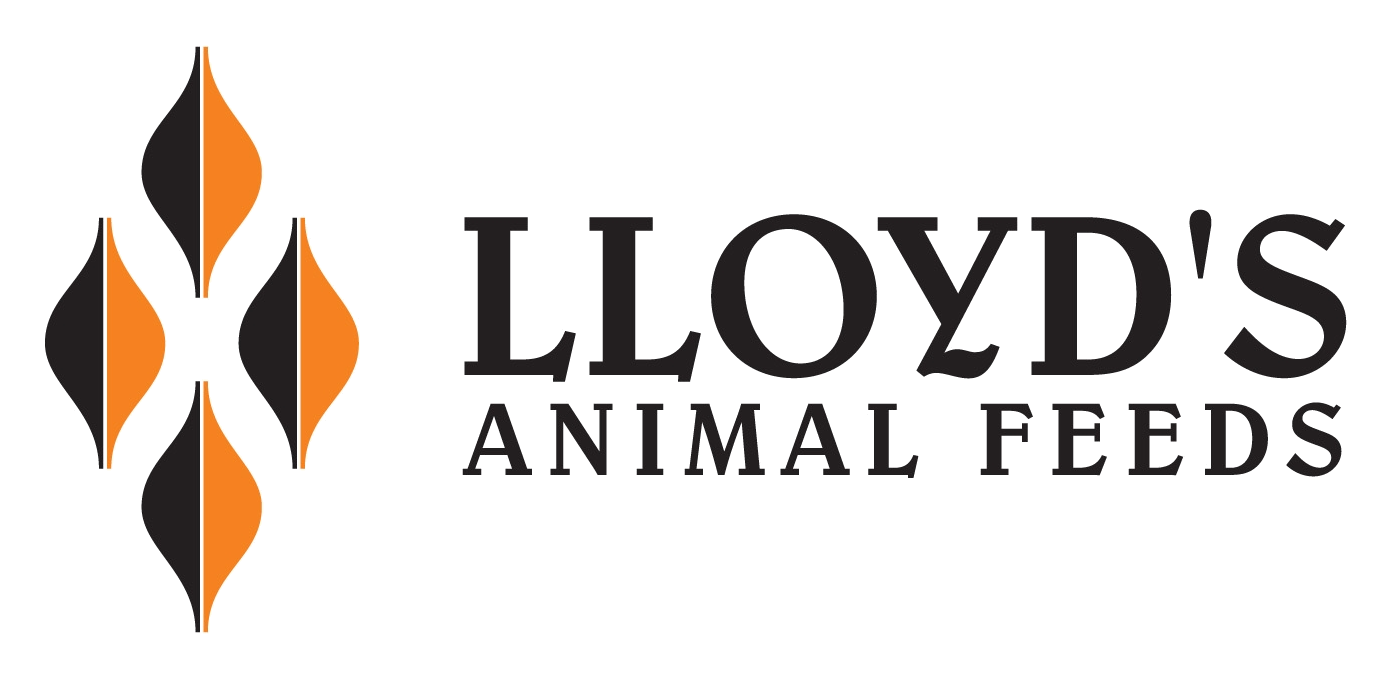 Lloyd's Animal Feeds